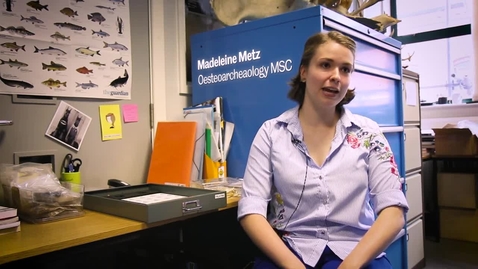 Thumbnail for Madeleine's placement case study
