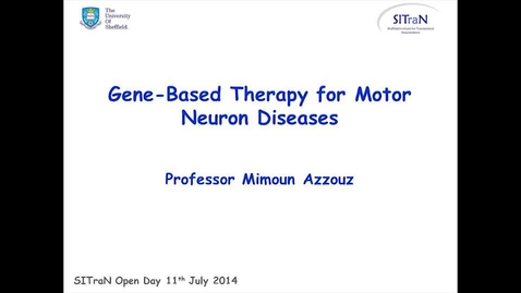 Thumbnail for Gene-based Therapy for Motor Neuron Diseases
