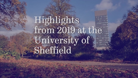 Thumbnail for entry 2019 at the University of Sheffield