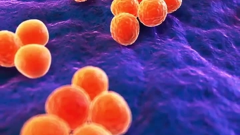 Thumbnail for Professor Simon Foster on MRSA