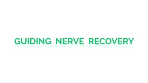 Thumbnail for Guiding Nerve Regeneration