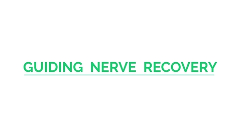 Thumbnail for entry Guiding Nerve Regeneration