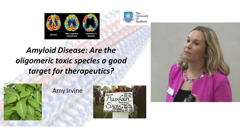 Thumbnail for entry Amyloid Disease: Are the oligomeric toxic species a good target for therapeutics?