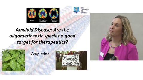 Thumbnail for Amyloid Disease: Are the oligomeric toxic species a good target for therapeutics?