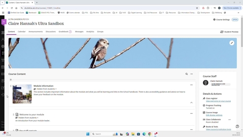 Thumbnail for Making content more accessible - Tips following Blackboard audit Feb 2025.