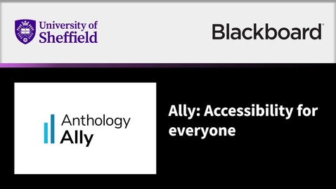 Thumbnail for Ally: Accessibility for everyone