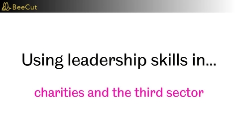 Thumbnail for Mindset Matters Leadership Series - using leadership in charities and policy work