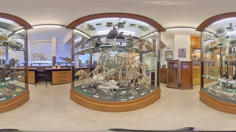 Thumbnail for Biosciences - Alfred Denny Museum 2