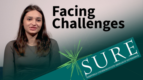 Thumbnail for SURE: Facing Challenges