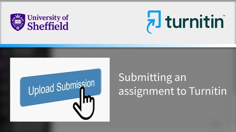 Thumbnail for How to submit an assignment to Turnitin