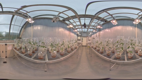 Thumbnail for Biosciences - Arthur Willis Environment Centre - Greenhouse 2