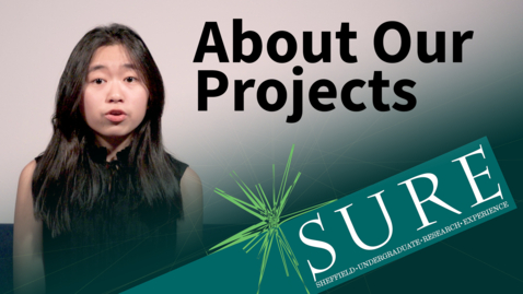 Thumbnail for SURE: A Closer Look At Some Projects