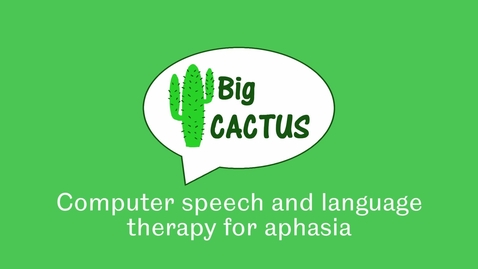 Thumbnail for Big CACTUS Final Result Video