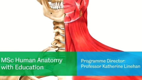 Thumbnail for MSc Human Anatomy with Education Webinar June 2020