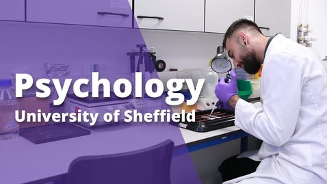 Thumbnail for Undergraduate study in Psychology at Sheffield
