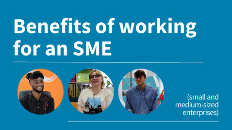 Thumbnail for Benefits of working for an SME