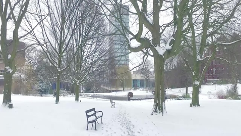 Thumbnail for Discover Sheffield and what make it unique