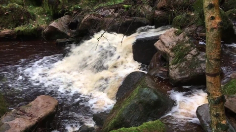 Thumbnail for entry Padley Gorge waterfall 1