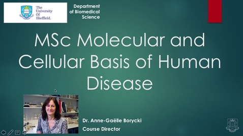 Thumbnail for entry MSc Molecular and Cellular Basis of Human Disease
