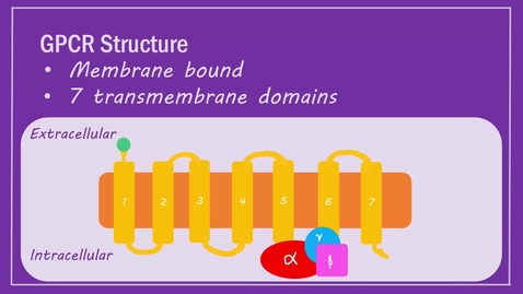 Thumbnail for GPCR Signalling