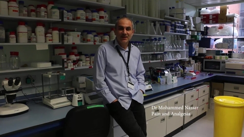 Thumbnail for Biomedical Science at Sheffield - Whistle-stop Tour