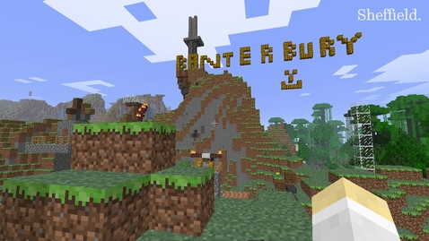 Thumbnail for The Diversity of Social Play in a Minecraft Club