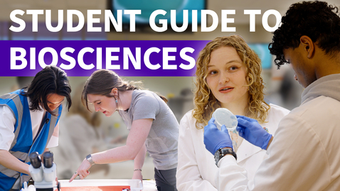 Thumbnail for Student guide to studying Biosciences | University of Sheffield