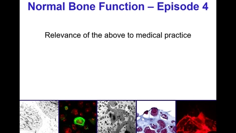 Thumbnail for entry Normal Bone Function - Episode 4
