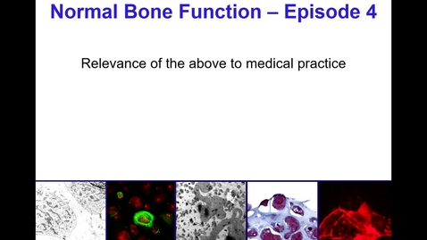Thumbnail for Normal Bone Function - Episode 4