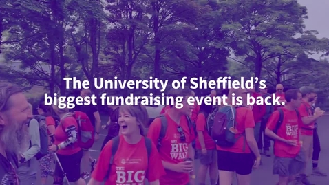 Thumbnail for The Big Walk 2024