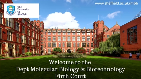 Thumbnail for entry Postgraduate study in Molecular Biology and Biotechnology