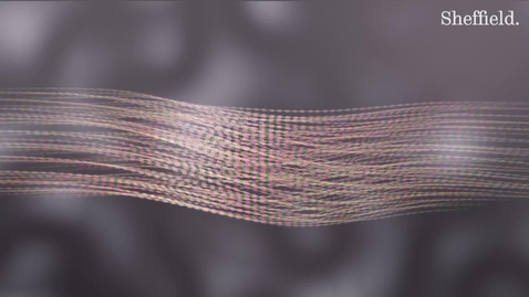 Thumbnail for &quot;Nerve Regeneration&quot; with Professor Fiona Boissonade