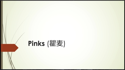 Thumbnail for entry Eikyū hyakushu Summer Poems: Pinks