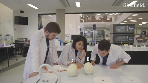 Thumbnail for Our demonstrators investigate: identifying the sex of a skull