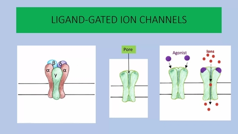 Thumbnail for Receptor Types - An Overview