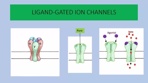 Thumbnail for entry Receptor Types - An Overview