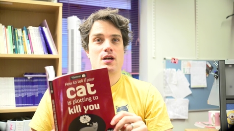 Thumbnail for JL Cat Mad