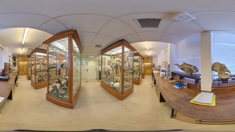 Thumbnail for Biosciences - Alfred Denny Museum 1
