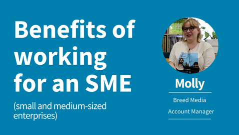 Thumbnail for Breed Media - Account Manager (casestudy)