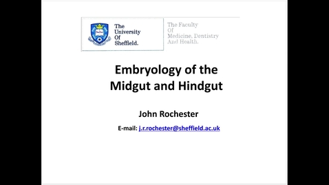 Thumbnail for entry Embryology of the  midgut and hindgut