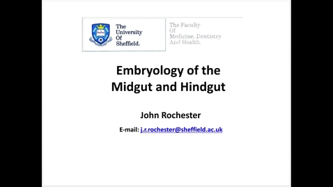 Thumbnail for Embryology of the  midgut and hindgut