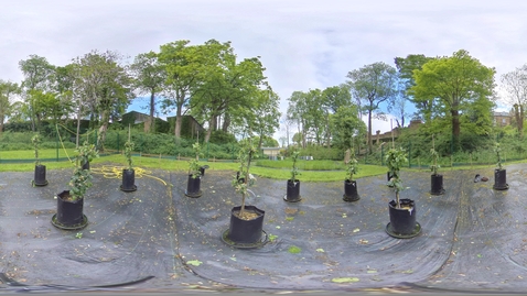 Thumbnail for Biosciences - Arthur Willis Environment Centre 2