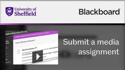 Thumbnail for How to submit a media assignment to Blackboard
