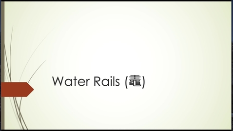 Thumbnail for Eikyū hyakushu Summer Poems: Water Rails