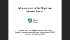 Go to Cognitive Neuroscience - Postgraduate Open Day 2021 with duration: 1 hour, 0 minutes