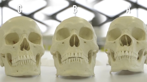 Thumbnail for Our demonstrators investigate: determining the ethnicity of a skull