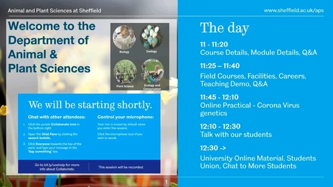Thumbnail for Animal and Plant Science - Applicant Day talk (May 6th)