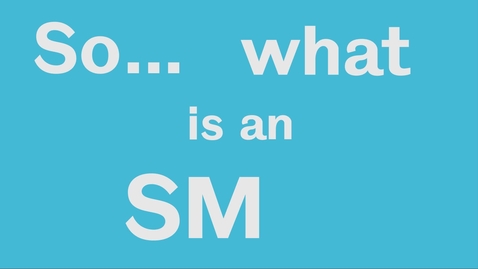 Thumbnail for entry So what is an SME?
