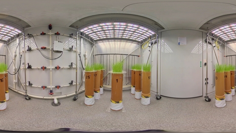 Thumbnail for Biosciences - Controlled environment growth rooms 1