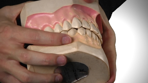 Thumbnail for Introduction to Tooth Shape and Function